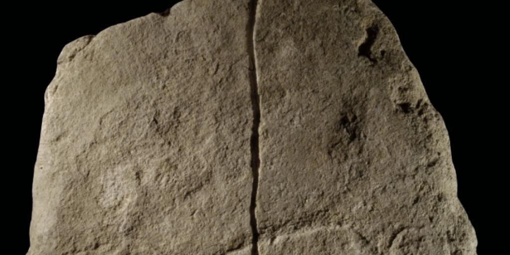 Laut US-Archäologen ist das eine 38'000 Jahre alte, pointillistische Darstellung eines Mammuts. (Handout NYU)