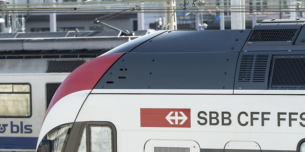 Die SBB schlägt der BLS unter anderem vor, künftig drei Fernverkehrslinien mit zwei Logos auf den Zügen zu betreiben. (Archivbild)