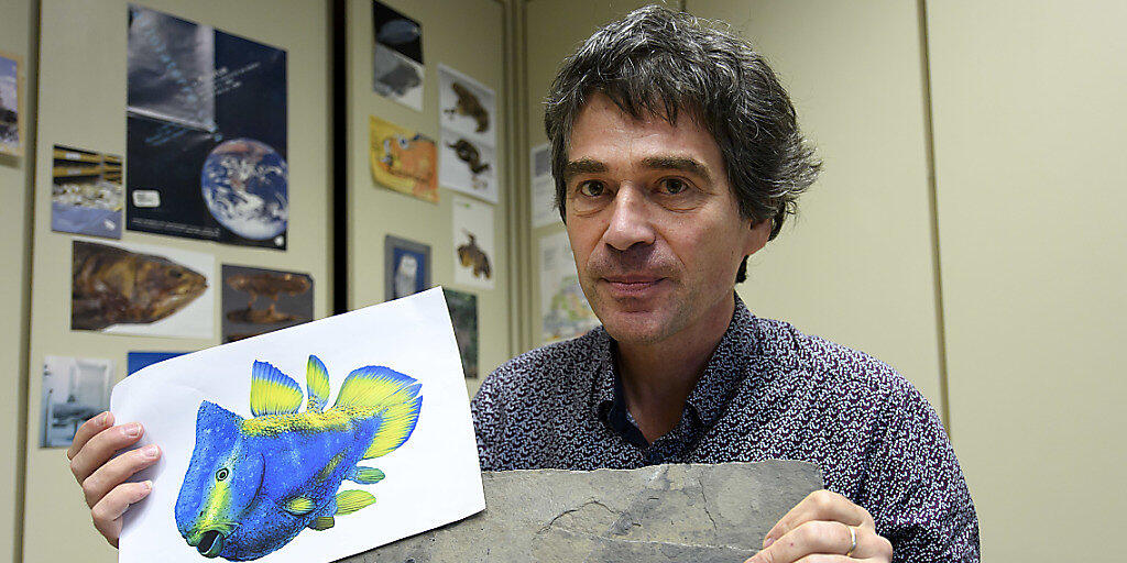 Der Genfer Paläontologe Lionel Cavin präsentiert den Quastenflosser-Fossil-Fund.