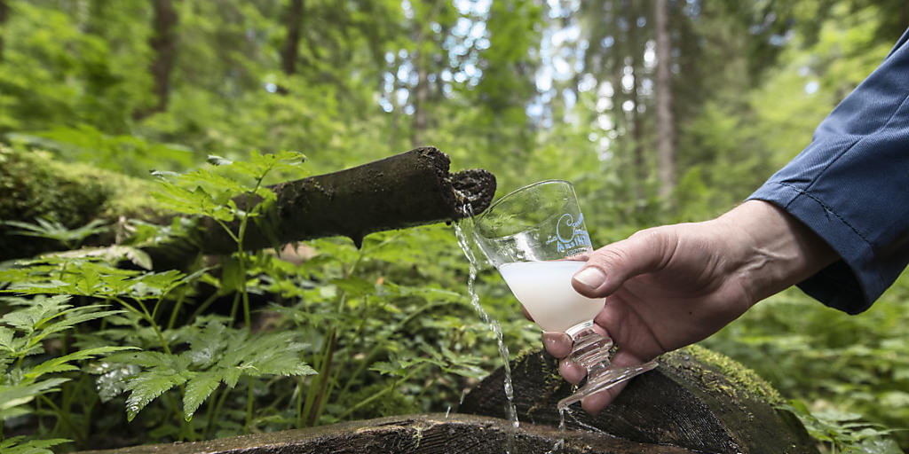 Kräuter, ein Geheimrezept und Quellwasser ergeben eine milchigweisse Flüssigkeit: den Absinth. (Archivbild)
