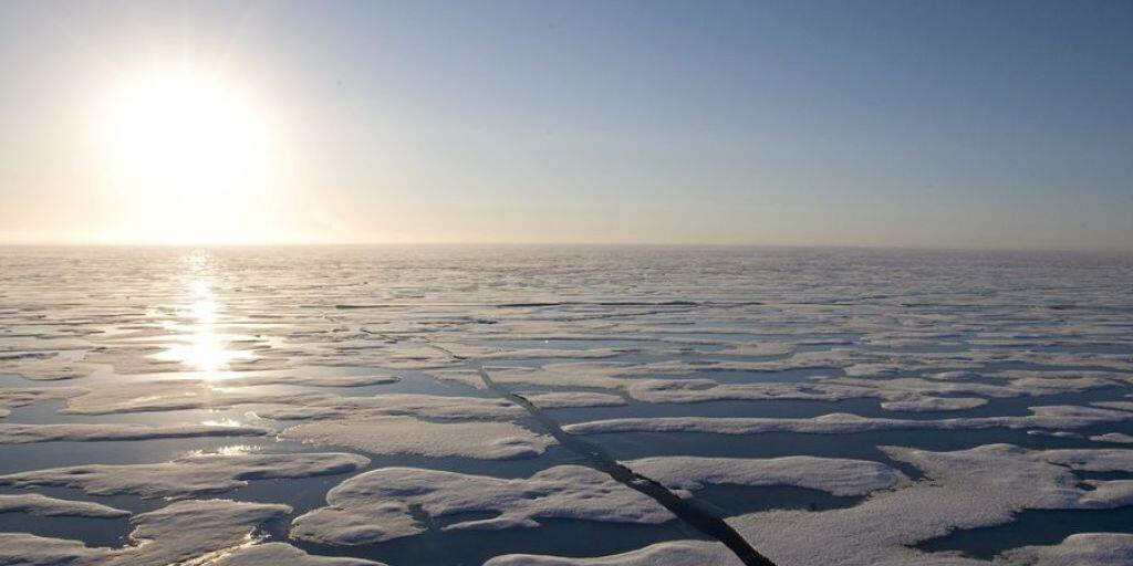 Eisschollen in der Nähe von Resolute Bay im hohen Norden Kanadas. Dort wollen Forscher herausfinden, von welchen Klimabedingungen die Quecksilber-Belastung von Seesaiblingen abhängt. (Archivbild) Eisschollen in der Nähe von Resolute Bay im hohen Norden Kanadas. Dort wollen Forscher herausfinden, von welchen Klimabedingungen die Quecksilber-Belastung von Seesaiblingen abhängt. (Archivbild)