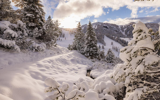 Der erste Schnee in Malbun und Steg