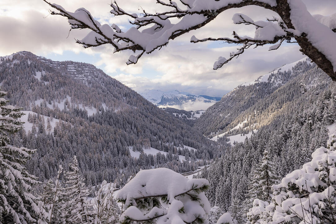 Der erste Schnee in Malbun und Steg