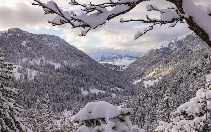 Der erste Schnee in Malbun und Steg