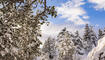 Der erste Schnee in Malbun und Steg