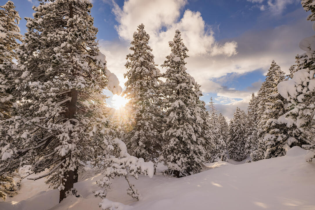 Der erste Schnee in Malbun und Steg