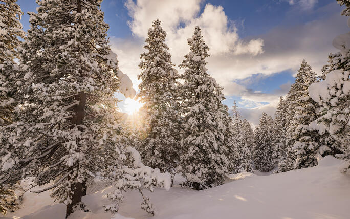 Der erste Schnee in Malbun und Steg