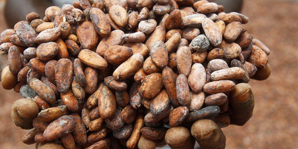 Ist Nestlé schuld, wenn es in Afrika zur Kinderarbeit kommt? US-Richter müssen sich nun mit dieser Frage auseinandersetzen (Symbolbild). Ist Nestlé schuld, wenn es in Afrika zur Kinderarbeit kommt? US-Richter müssen sich nun mit dieser Frage auseinandersetzen (Symbolbild).