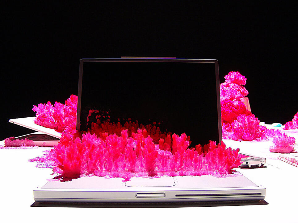 Mit auf den Tastaturen wuchernden Kristallen macht das Künstlerduo Gerda Steiner und Jörg Lenzlinger in der Installation "Die Konferenz" von 2010 Laptops auf ästhetisch bezaubernde Weise als Computer nutzlos.
