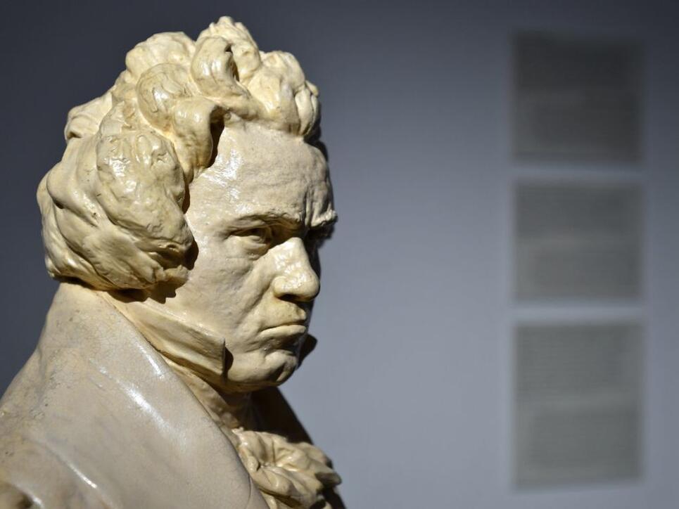 Eine Beethoven-Büste im zum Museum umfunktionierten Beethoven-Haus. Am Wochenende ist Eröffnung.