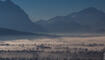Nebel über dem Schaaner Riet