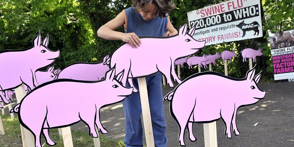 Mai 2009: Schweinegrippe-Demo vor dem WHO-Hauptquartier in Genf. Ist es bald wieder soweit? Chinesische Forscher sagen ja, die Regierung sagt nein. (Archivbild)