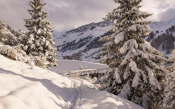 Der erste Schnee in Malbun und Steg