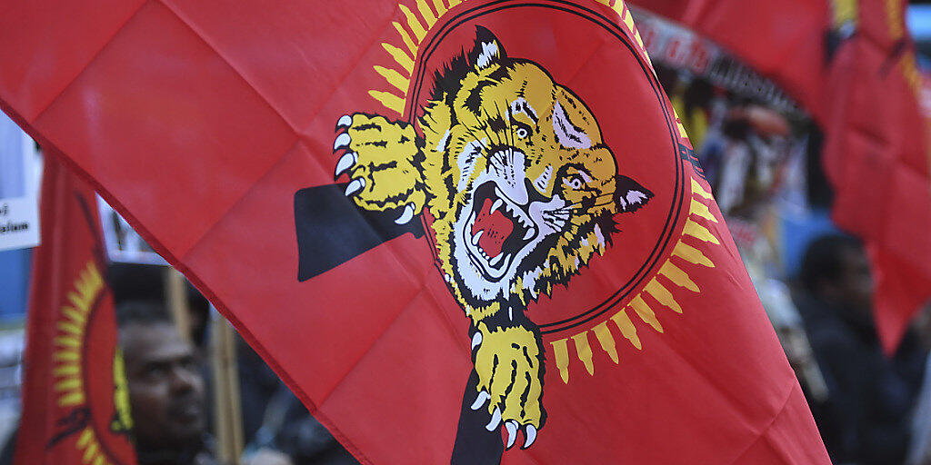 Sympathisanten der Tamil Tigers demonstrierten zum Auftakt des Prozesses am Bundesstrafgericht in Bellinzona. (Archivbild)