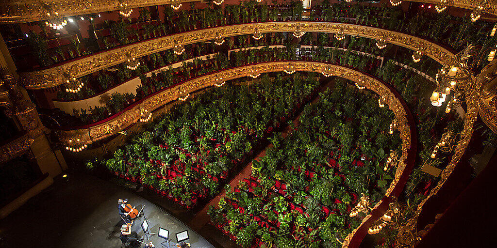 dpatopbilder - Musiker proben im Gran Teatre del Liceu, wobei alle 2.292 Sitzplätze mit Pflanzen besetzt sind. Foto: Emilio Morenatti/AP/dpa