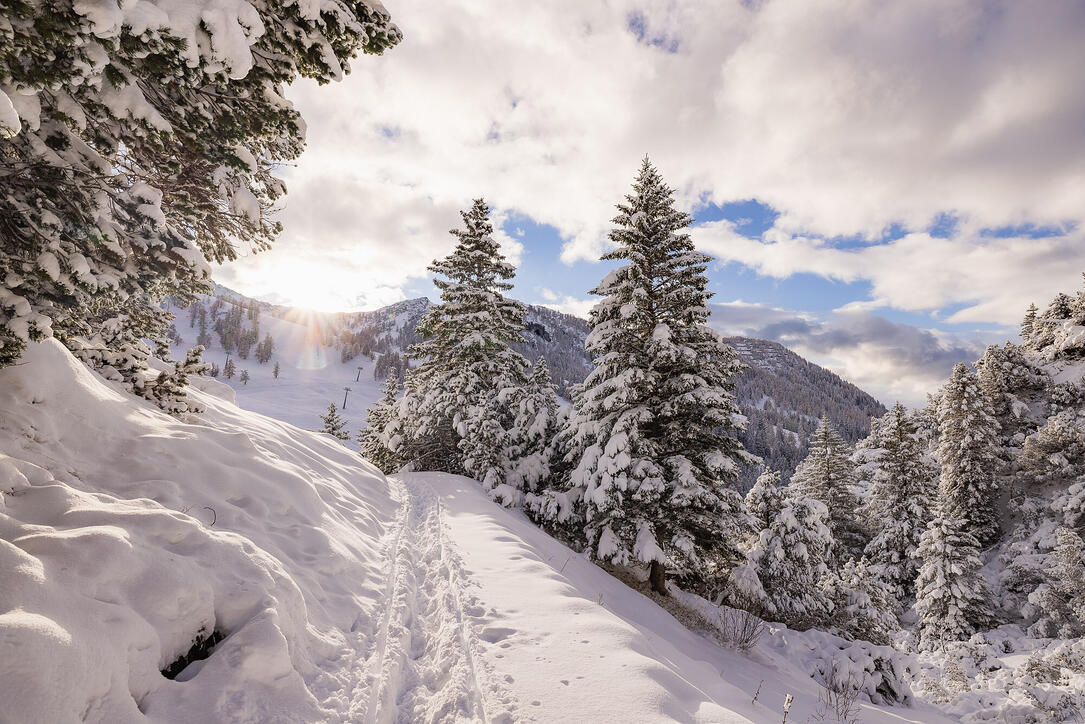 Der erste Schnee in Malbun und Steg