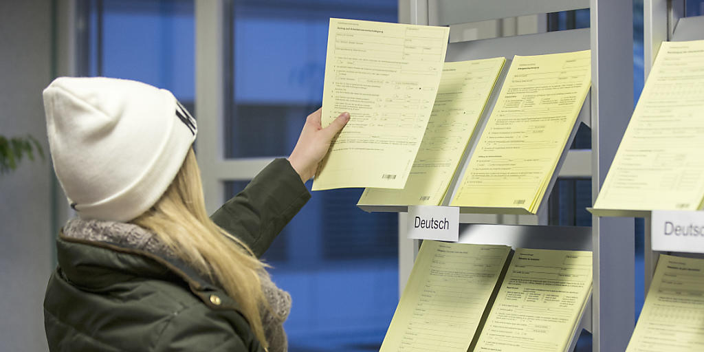 Junge Arbeitslose informiert sich im Regionalen Arbeitsvermittlungszentrum (Archiv)