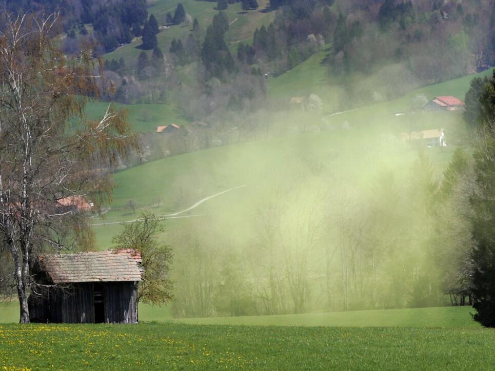 Die Intensität der Pollensaison war 2018 regional sehr unterschiedlich. Deutlich kürzer war die Pollensaison in Genf und Neuenburg. (Archiv)