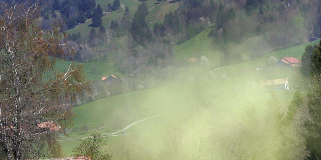 Die Intensität der Pollensaison war 2018 regional sehr unterschiedlich. Deutlich kürzer war die Pollensaison in Genf und Neuenburg. (Archiv)
