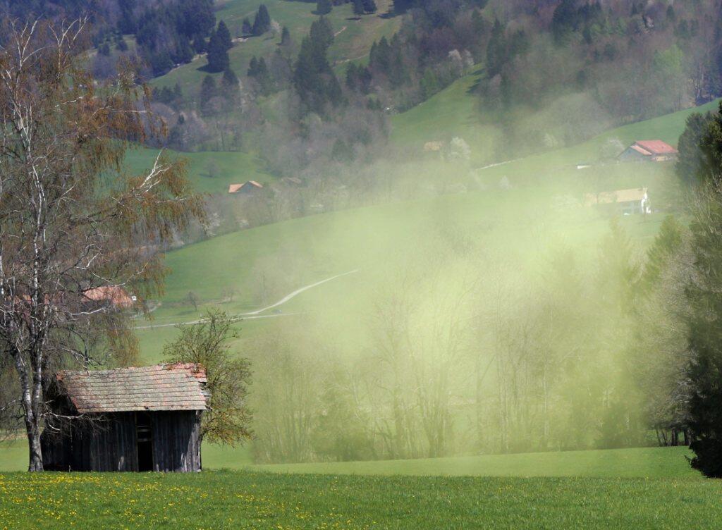 Die Intensität der Pollensaison war 2018 regional sehr unterschiedlich. Deutlich kürzer war die Pollensaison in Genf und Neuenburg. (Archiv)