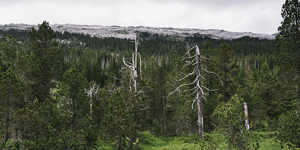 Insgesamt 16'000 Hektaren Biotope und Moore will der Bundesrat zusätzlich unter Schutz stellen. Im Bild die Moorlandschaft unterhalb der Schrattenfluh im Kanton Luzern. (Archivbild).