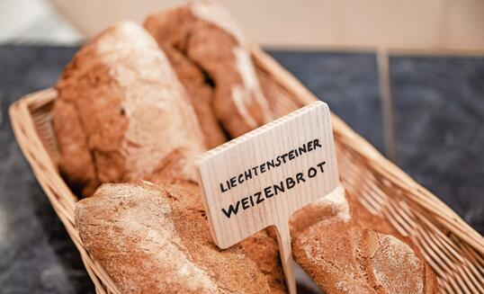 FELDFREUNDE – MEDIENINFO