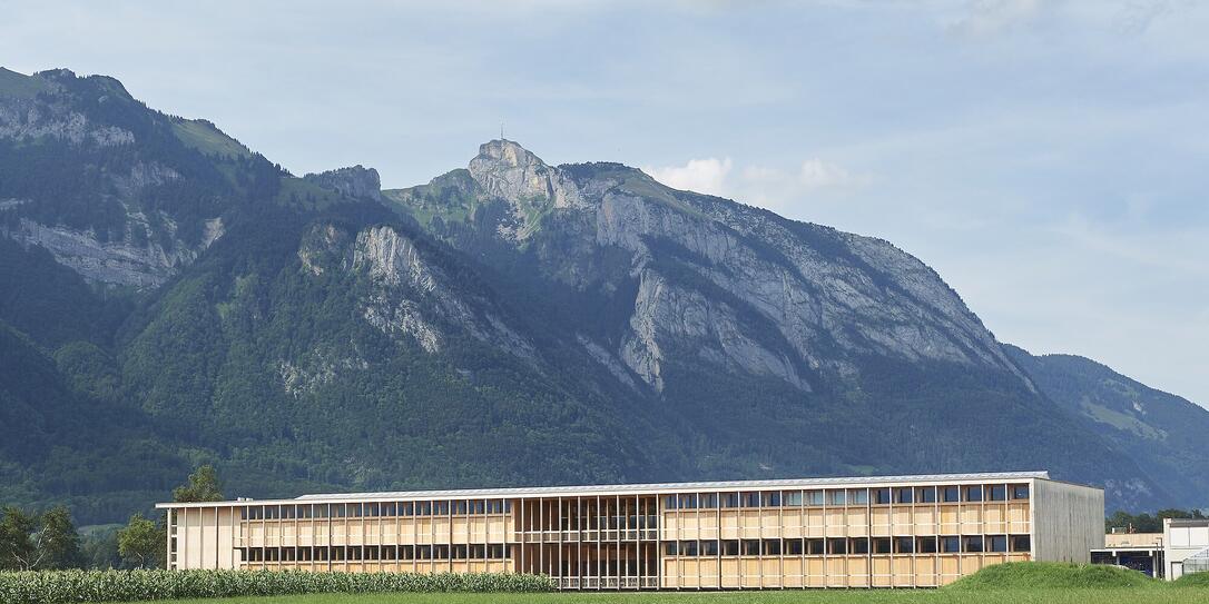 LZSG Salez Ersatzneubau, Andy Senn Architekt, 2019