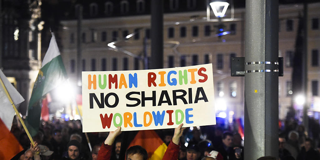 Pegida-Anhänger gehen in Dresden laut diesem Schild für Menschenrechte auf die Strassen.