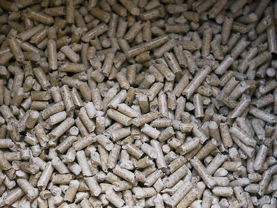 Aus solchen Holzpellets produziert das Biomasse-Blockheizkraftwerk im aargauischen Rheinfelden sowohl Strom und Wärme (Archiv).