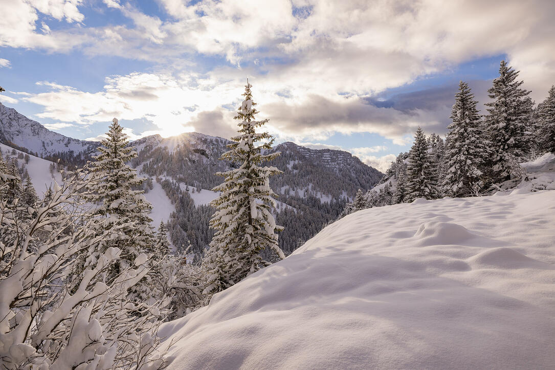 Der erste Schnee in Malbun und Steg