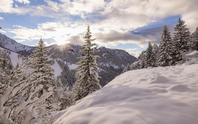 Der erste Schnee in Malbun und Steg