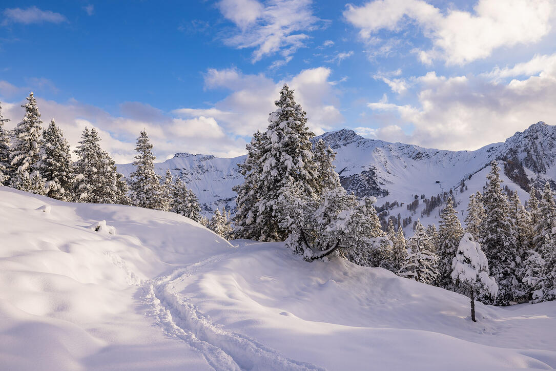 Der erste Schnee in Malbun und Steg