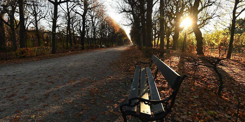 Die Sonne scheint durch die Bäume im Schönbrunner Schlosspark. Österreich ist wegen der zuletzt explodierenden Corona-Infektionszahlen bis zum 6. Dezember erneut in einen Lockdown gegangen. Foto: Helmut Fohringer/APA/dpa
