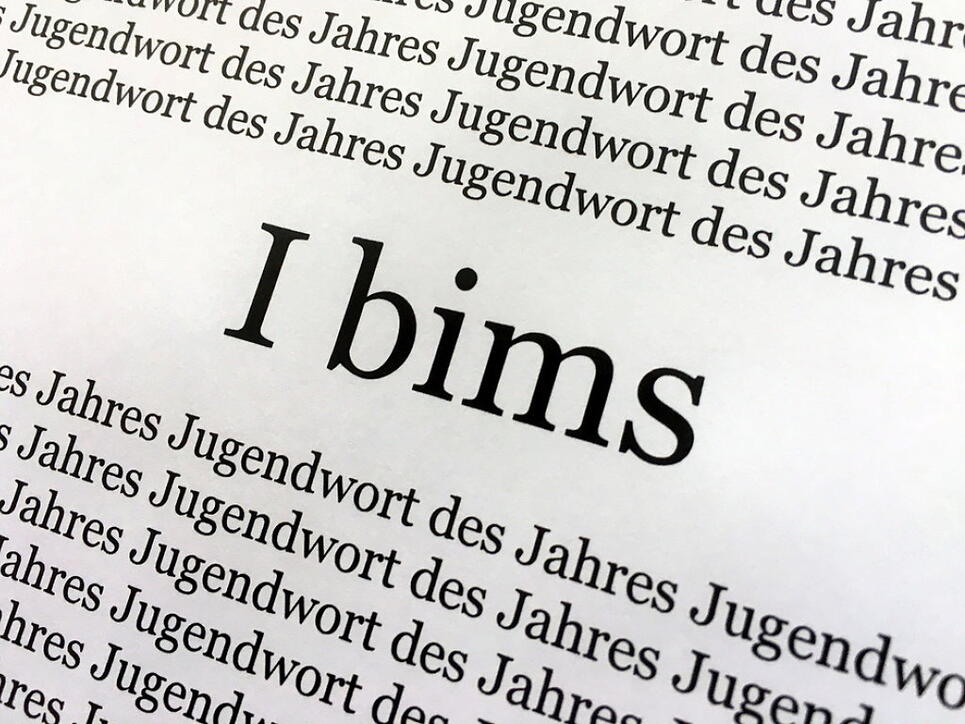"Ich bin's" oder eben "I bims", das deutsche "Jugendwort des Jahres".