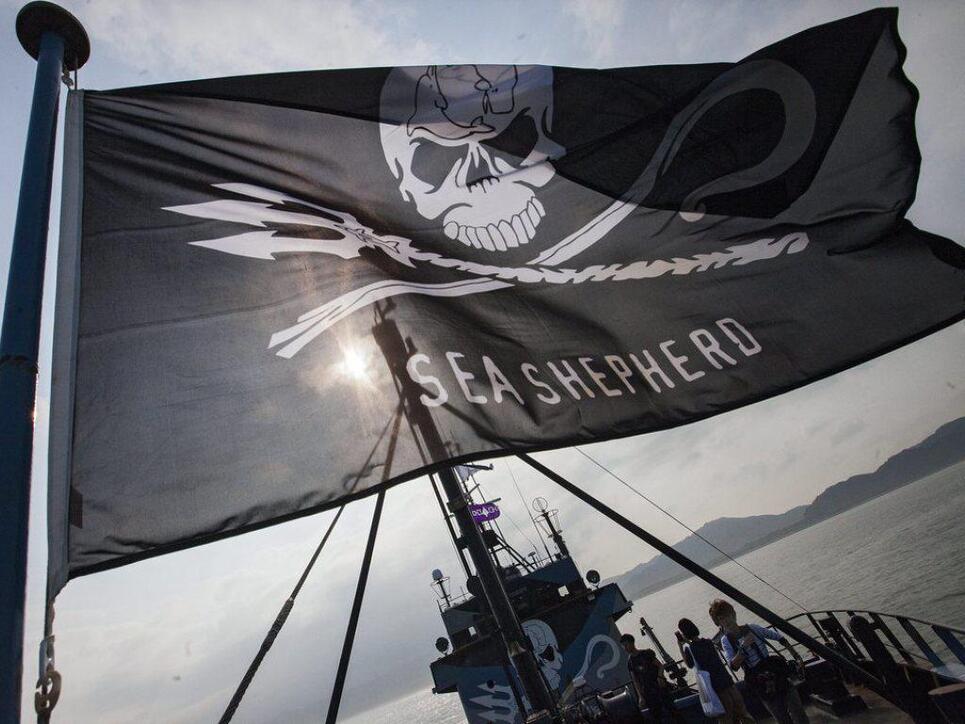 Die Flagge von Sea Shepherd weht auf ihrem Flaggschiff "Steve Irwin". (Archivbild)