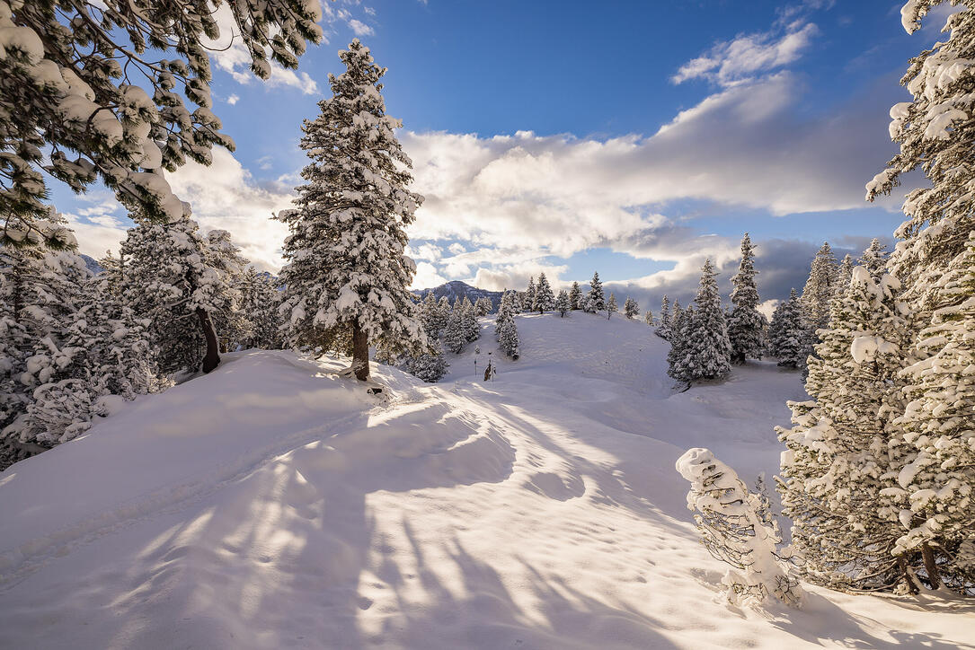 Der erste Schnee in Malbun und Steg