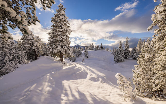 Der erste Schnee in Malbun und Steg