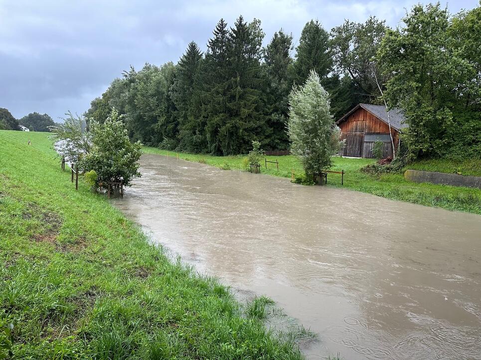 Hochwasser Rhein und Kanal (28.08.2023)
