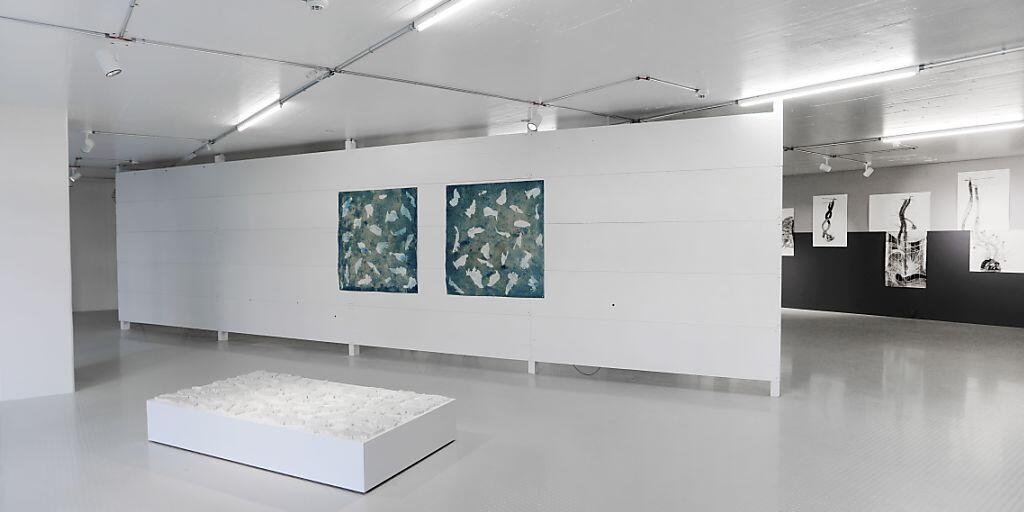 Die Ausstellungsräume der Kulturstiftung Basel H. Geiger an der Spitalstrasse in Basel wurden von den Architekten Christ & Gantenbein umgebaut.