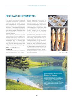 Seite 036