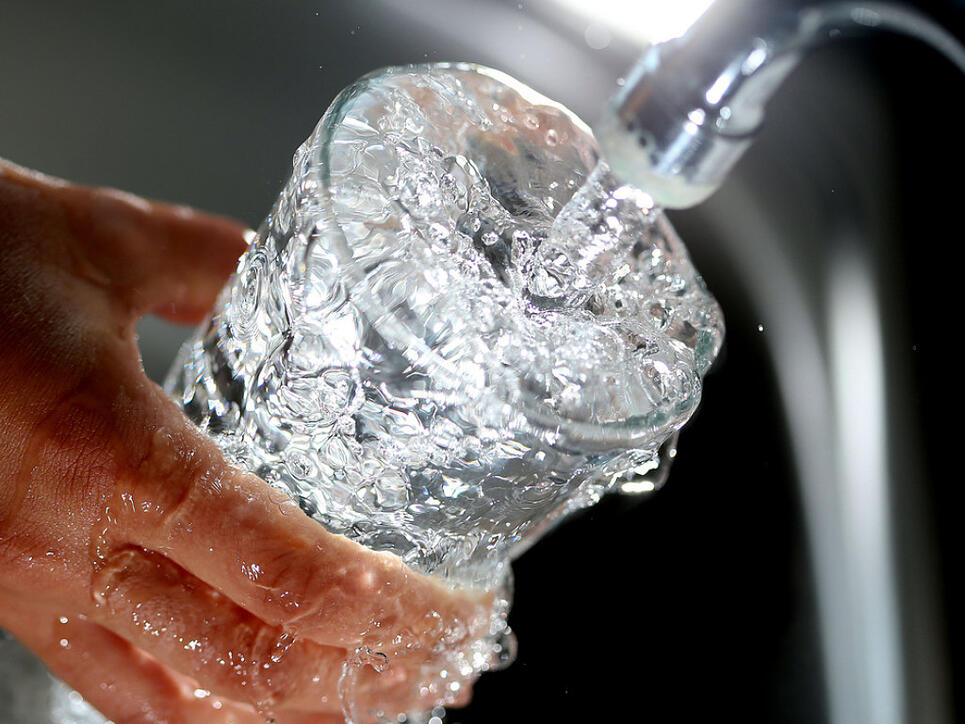 Die Trinkwasser-Initiative ist laut Komitee zustande gekommen. Sie verlangt, dass der Bund nur Bauernbetriebe unterstützt, die ohne Pestizide produzieren und ihren Tieren nicht vorbeugend Antibiotika verabreichen. (Symbolbild)
