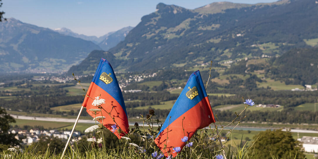 Liechtenstein Fahne