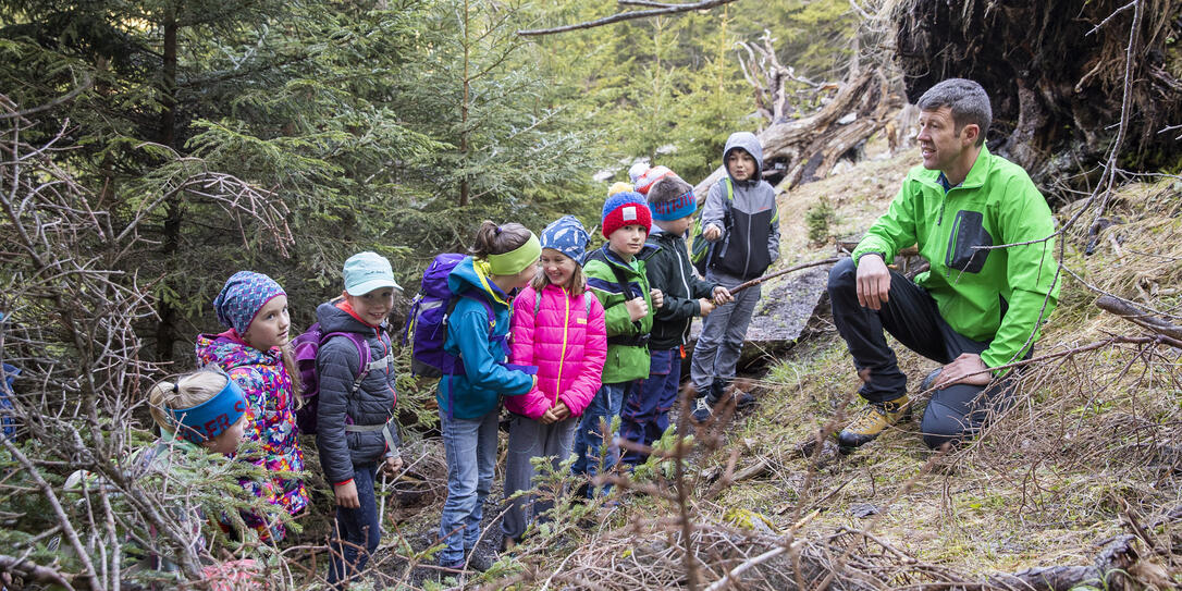 Projekt Schutzwald in Steg