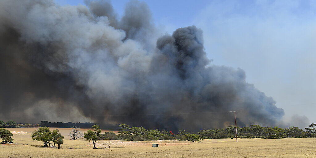 Wegen Buschbränden in der Nähe - hier eine Aufnahme von Cangaroo Island - ist der Flughafen von Canberra geschlossen worden. (archivbild)