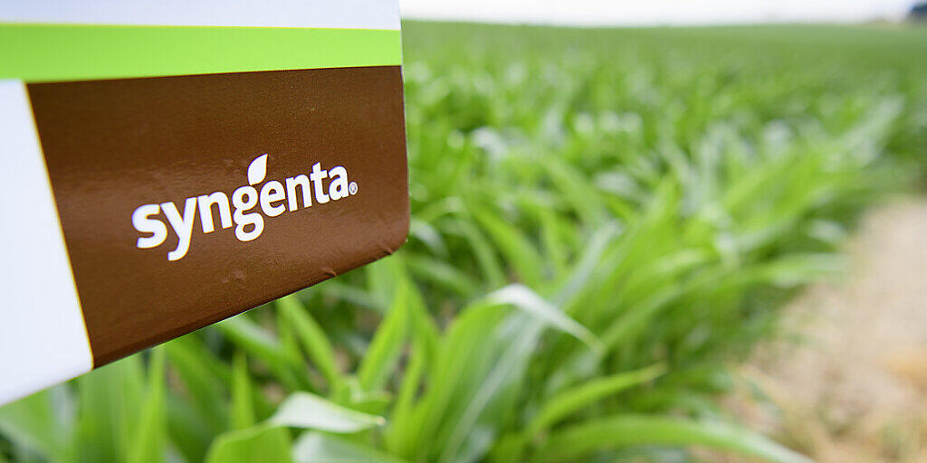 Der Agrokonzern Syngenta hat im ersten Semester unter schwierigen Wetterbedingungen und seinen hohen Schulden gelitten. (Archivbild)