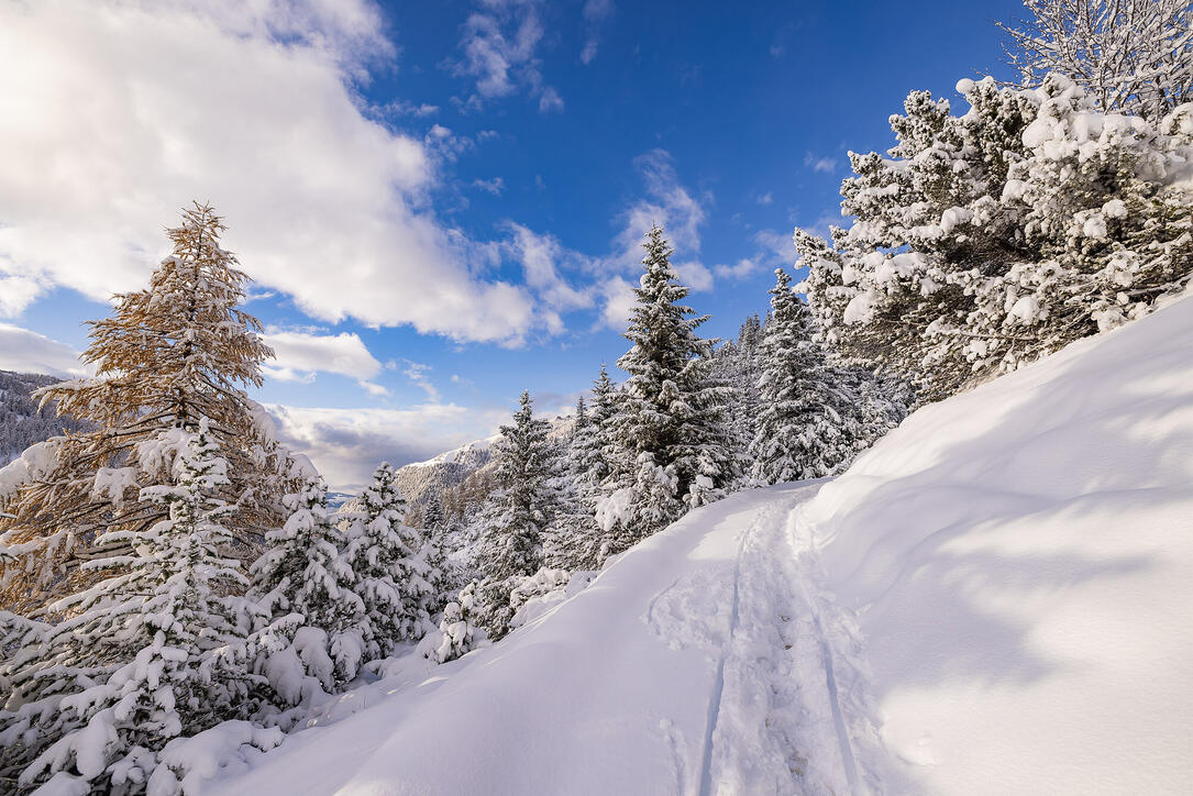Der erste Schnee in Malbun und Steg