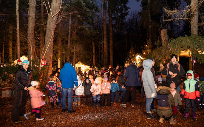 Nikolaus im Walde, Schellenberg (07.12.2024)