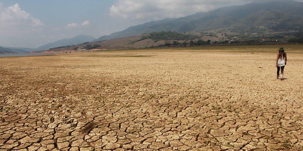Das Klimaphänomen El Niño hat den Calima-See in Kolumbien durch anhaltende Dürre schrumpfen lassen. Laut Angaben der Weltorganisation für Meteorologie sind El Niño und die Klimaerwärmung Ursache für Wärmerekorde wie 2015 und nun auch der Januar 2016.