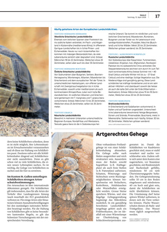 Seite 017