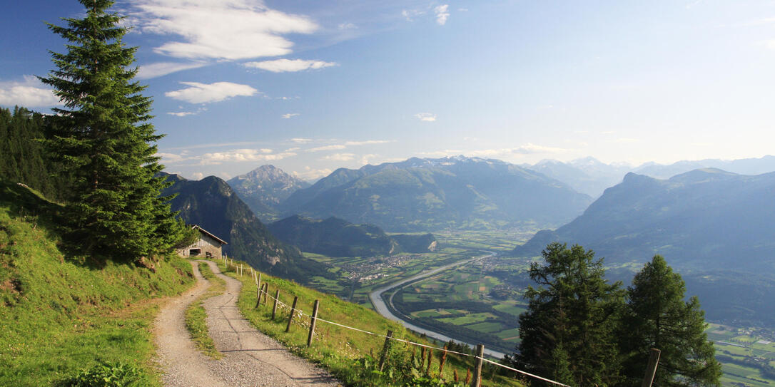 Lichtenstein from a height - Panorama